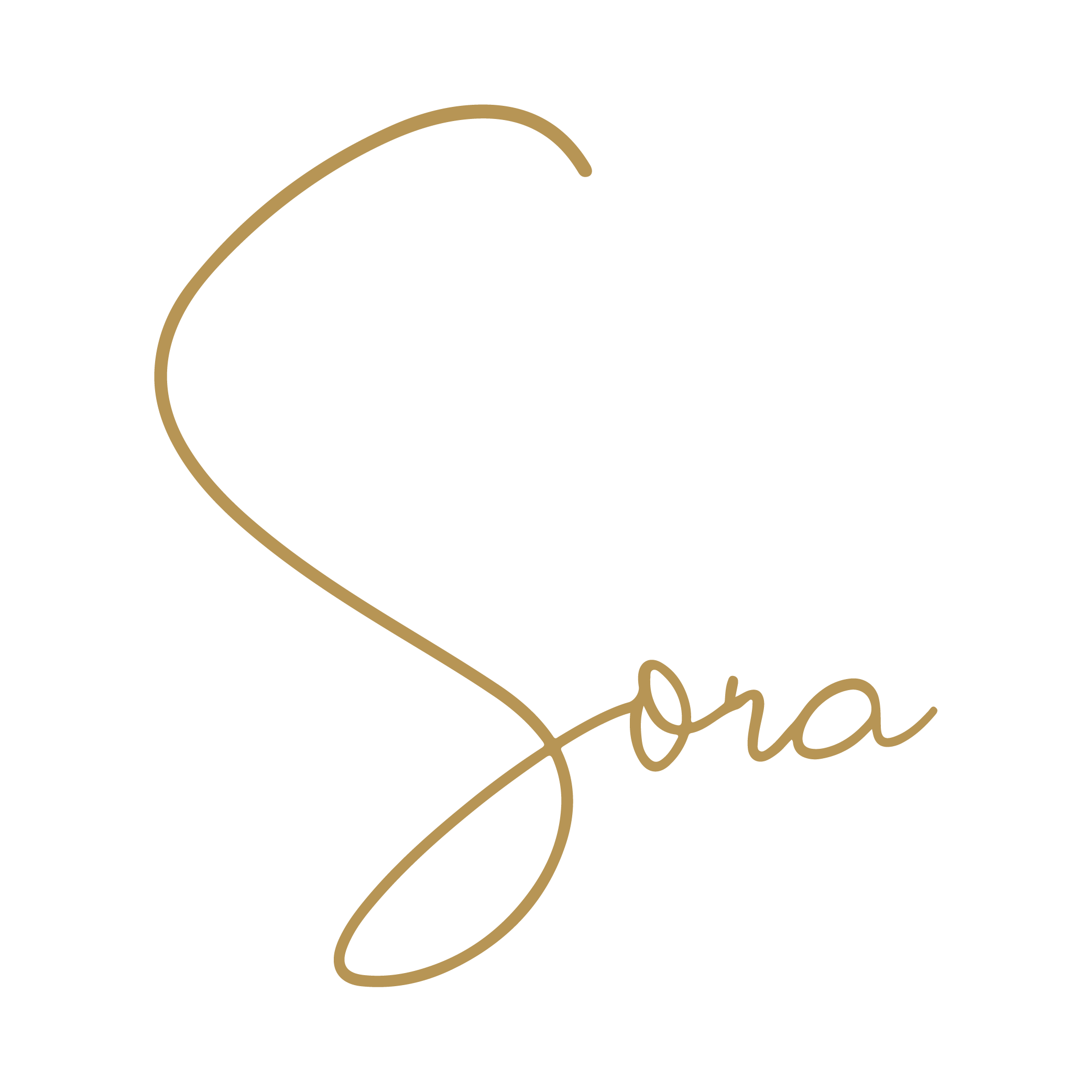 Sora