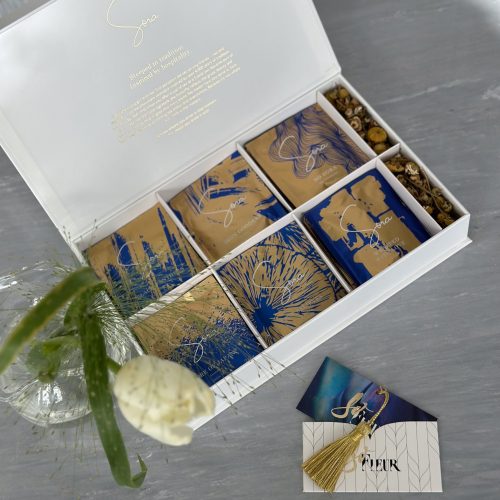 475954329_606725918934363_6194986972607818307_n